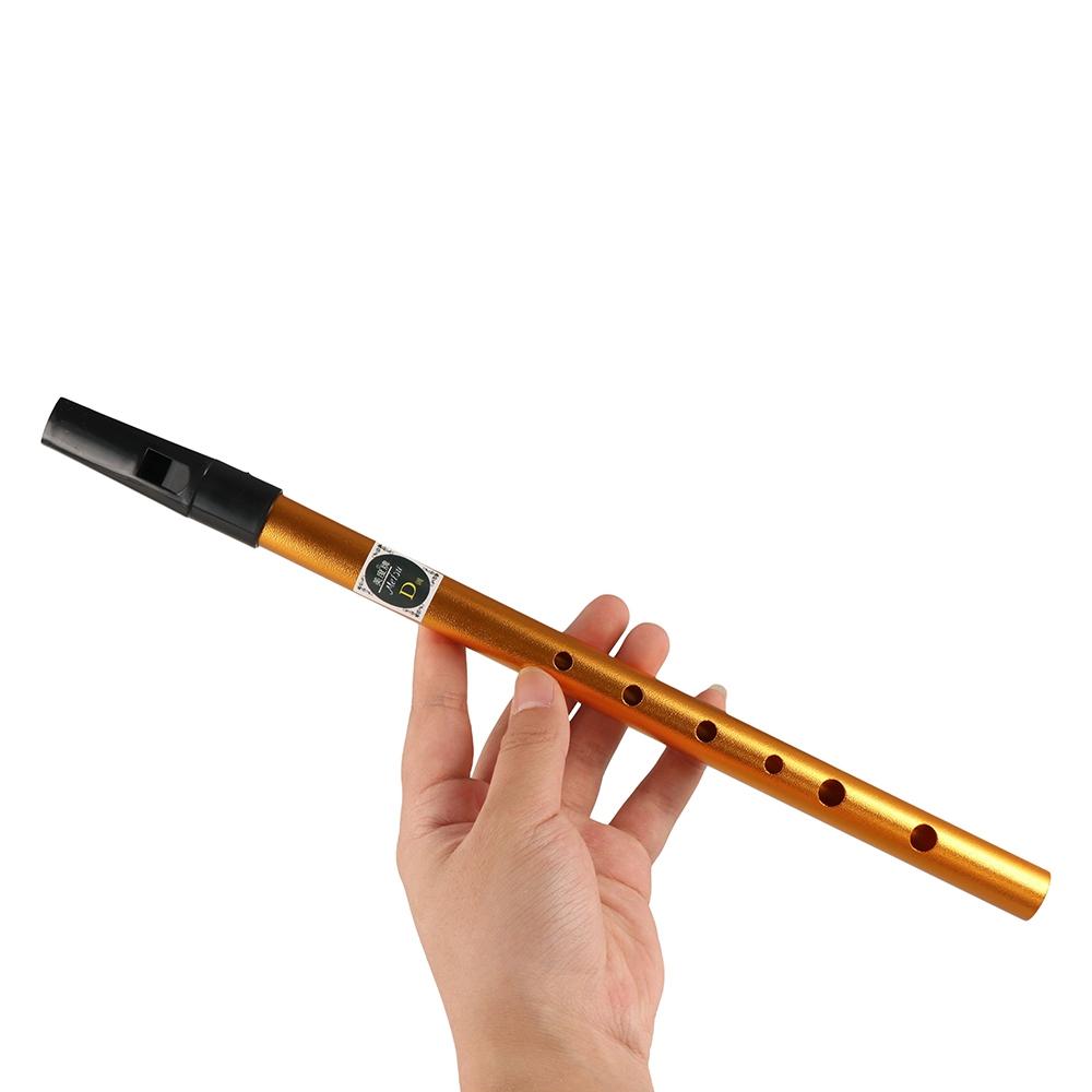 Aksesori Musik Seruling Peluit - Musical Instrument Irish ulasan dan harga