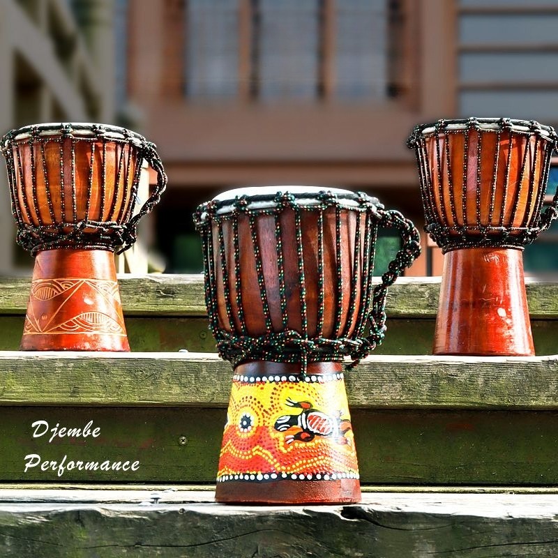 Drum Afrika Kecil untuk Pemula - Musical Instrument Percussion ulasan dan harga
