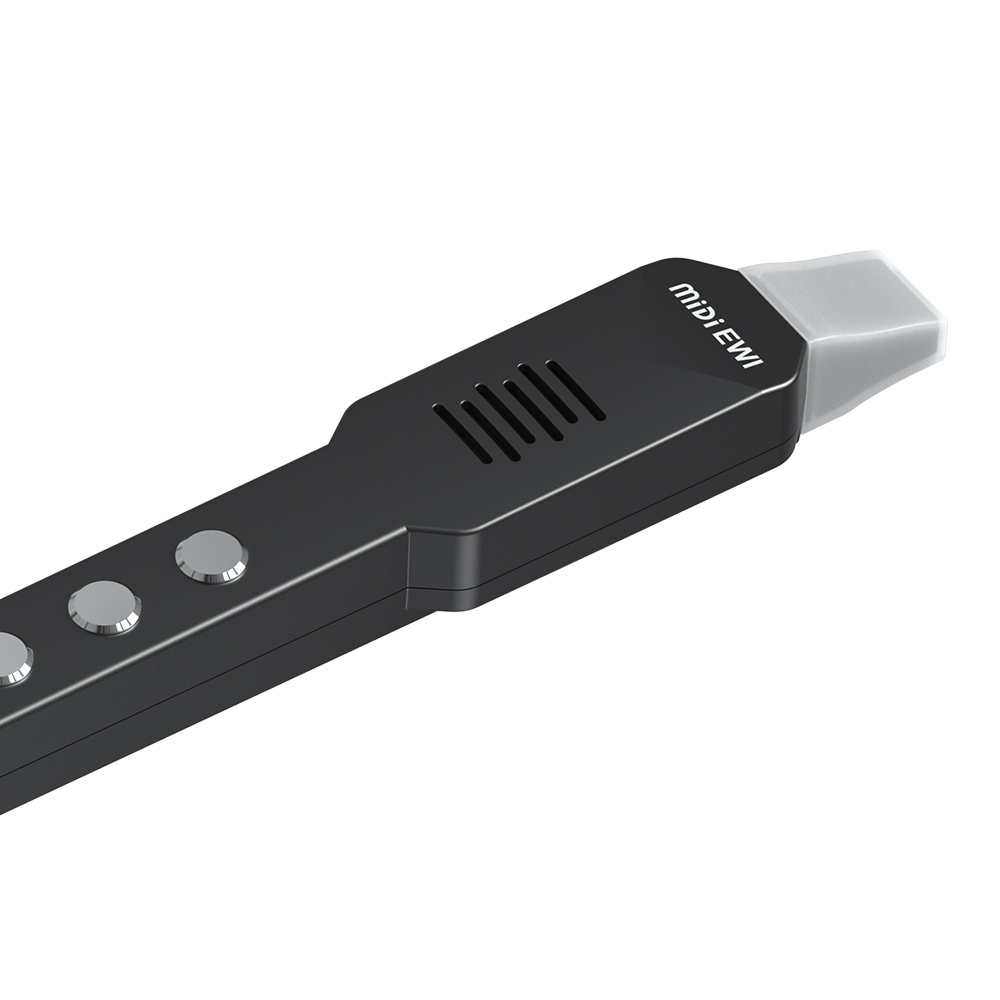Seruling Transversal Kecil Ele - Musical Instrument Irish ulasan dan harga